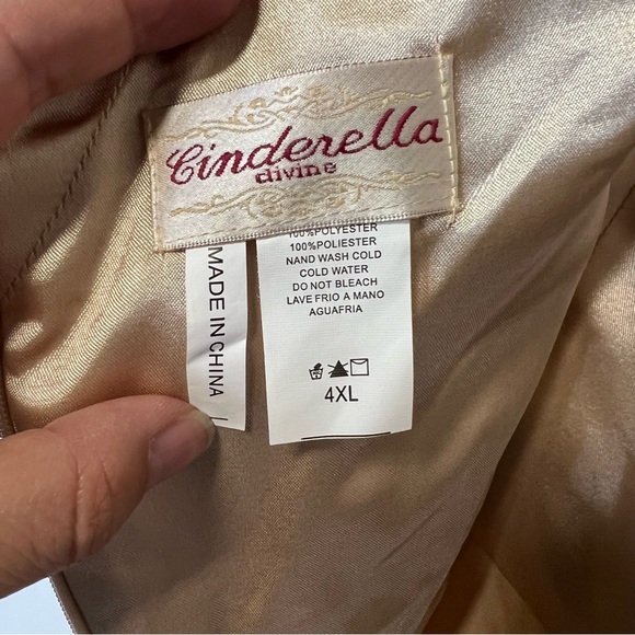 Cinderella Divine 1452 Champagne Beaded & Lace Chiffon Empire Waist Dress Sz 4XL - Picture 4 of 5